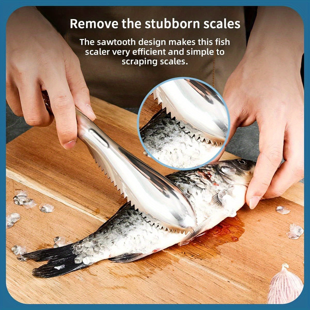 Fish Scaler Stainless Steel Fish Scaler Remover No Mess Easily Remove Fish Scales,