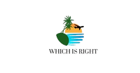 WHICH IS RIGHT LLC