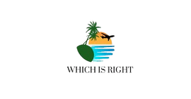WHICH IS RIGHT LLC